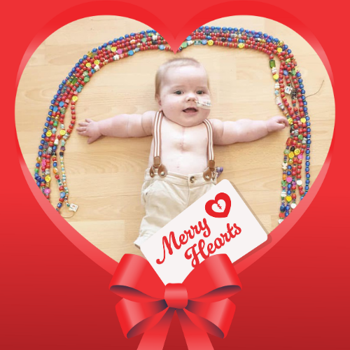 Christmas Appeal_Arlo