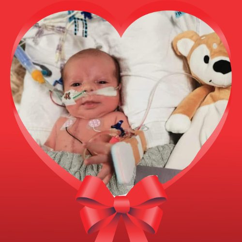 Christmas Appeal_Arlo_Hospital