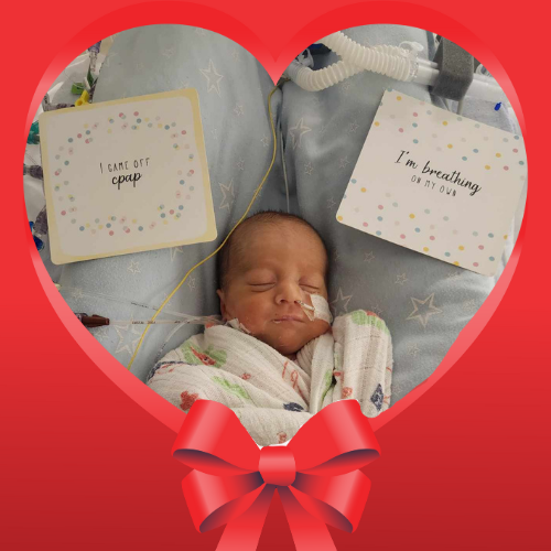 Christmas Appeal_Lachlan Hospital