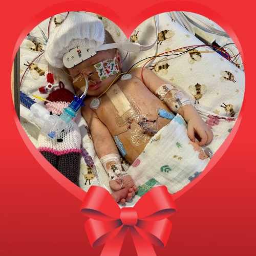 Christmas Appeal_Vinnie Hospital